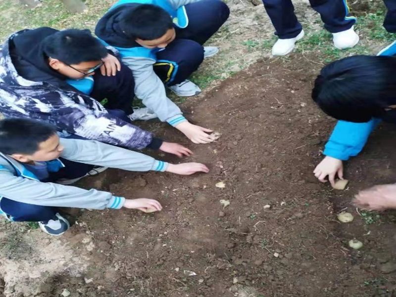 《科学种植——神奇的扦插》——新乡市第十中学生物组科学教育优秀课例展评