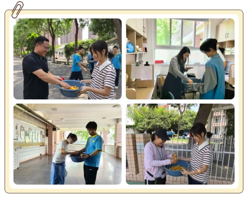 手撷枇杷尝甜果 笔战中考折桂枝